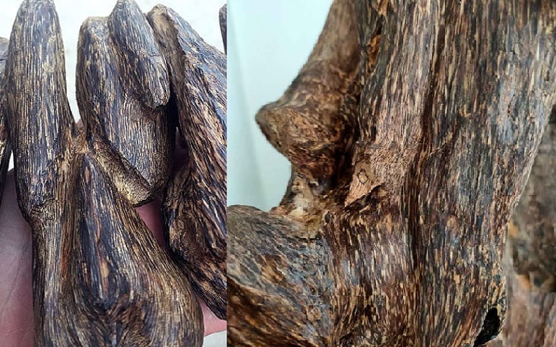 There are many types of Kalimantan agarwood