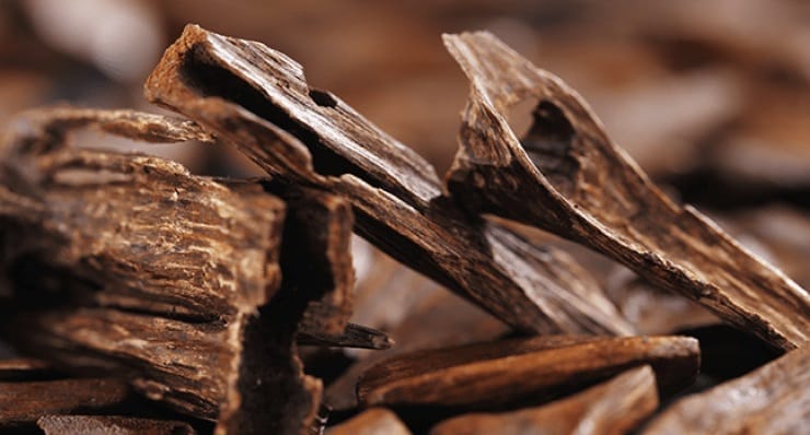 Agarwood brings peace and luck to the user
